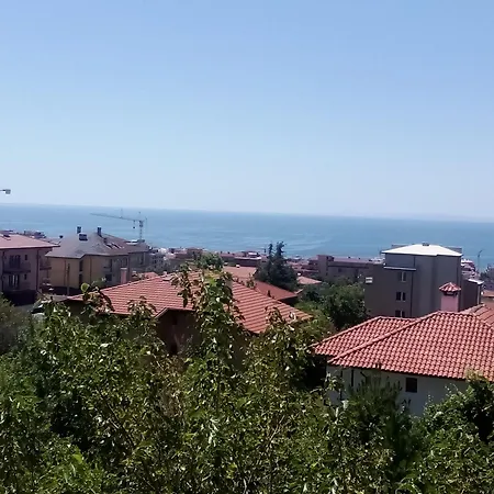 Poliyana 45